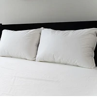 Lot de 2 Oreillers de Lit Sealy Support Moyen pour Dormeur sur le Ventre et le Dos, Housse en Coton, Lavable en Machine