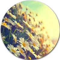 Art mural en métal Design Art Camomilles en fleurs ultra brillant en cercle