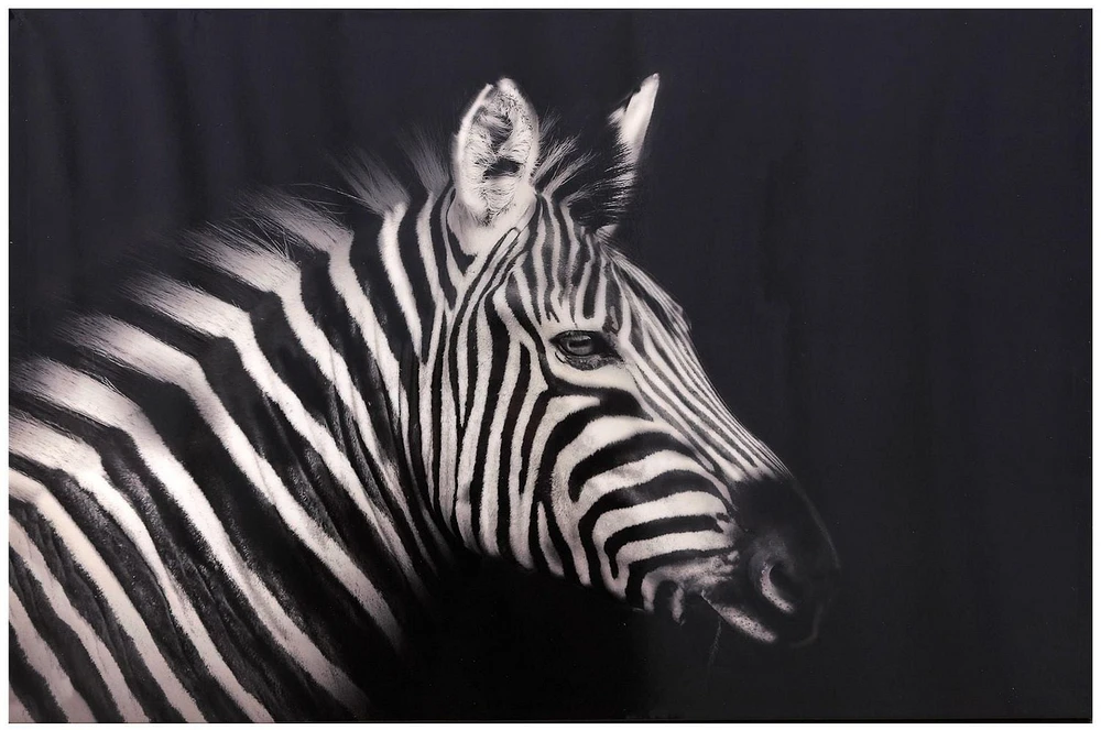 hometrends Cavas Wall Art