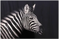 hometrends Cavas Wall Art