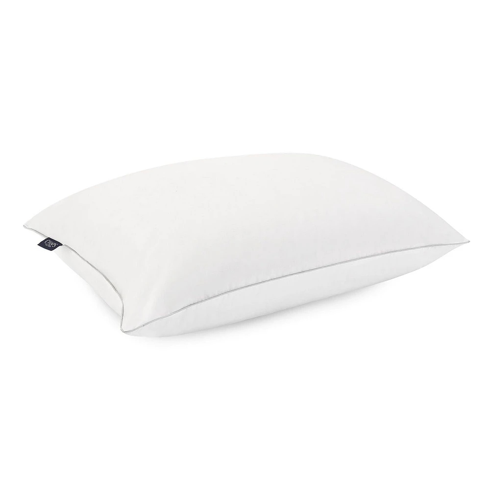 Chaps Firm Pillow, 20 x 28", Firm Bed Pillow