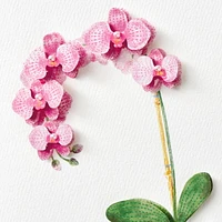 Hallmark Signature Birthday Card for Her