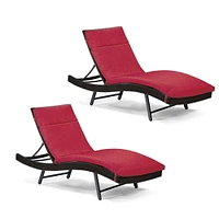 Ensemble de lounger 2 mx