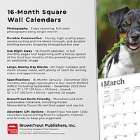 BrownTrout Jack Russell Terriers 2024 12x24 Inch Square Wall Calendar, 9781975463342