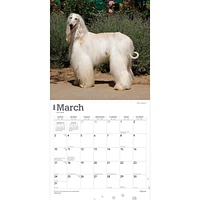 BrownTrout Afghans 2024 12x24 Inch Square Wall Calendar, 9781975470616