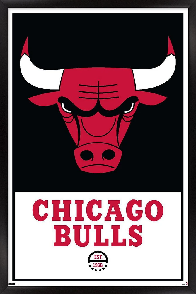 NBA Chicago Bulls