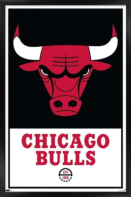 NBA Chicago Bulls