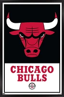 NBA Chicago Bulls