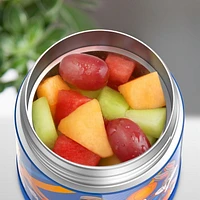 Thermos Funtainer Vacuum Insulated 10 Oz Food Jar, Space Jam