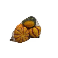 Way to Celebrate Orange & Green Baged Mini Pumpkin and Gourde 5pc