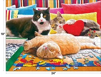 Casse-tête Kodak de 550 pièces - Casse-tête Chatons