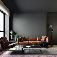 Dainolite 306F-BK Black Floor Lamp