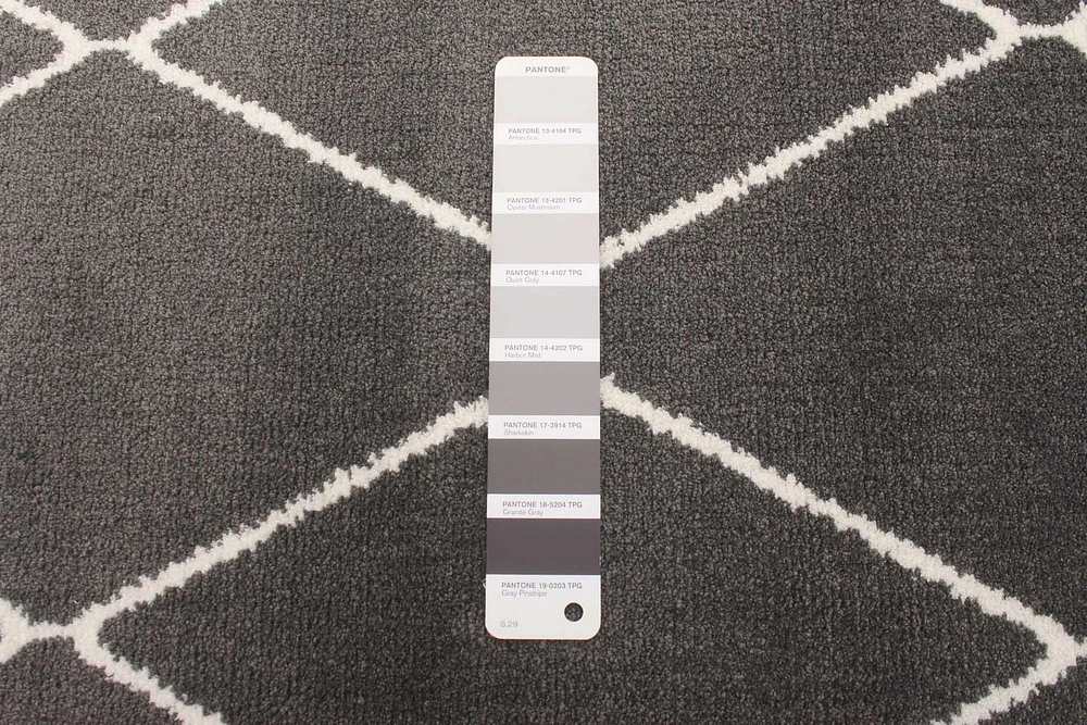 Tapis ECARPET Contemporain pour Salon, Chambre à Coucher, Salle Manger, Collection Diamante