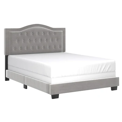 Modern Velvet Upholstered 60" Queen Bed in Light Grey