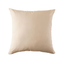 Outdoor Square Cushion 18in - Aqua (2 Pack)
