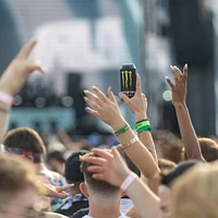 MONSTER ENERGY Green, canette de 473 mL 473 mL