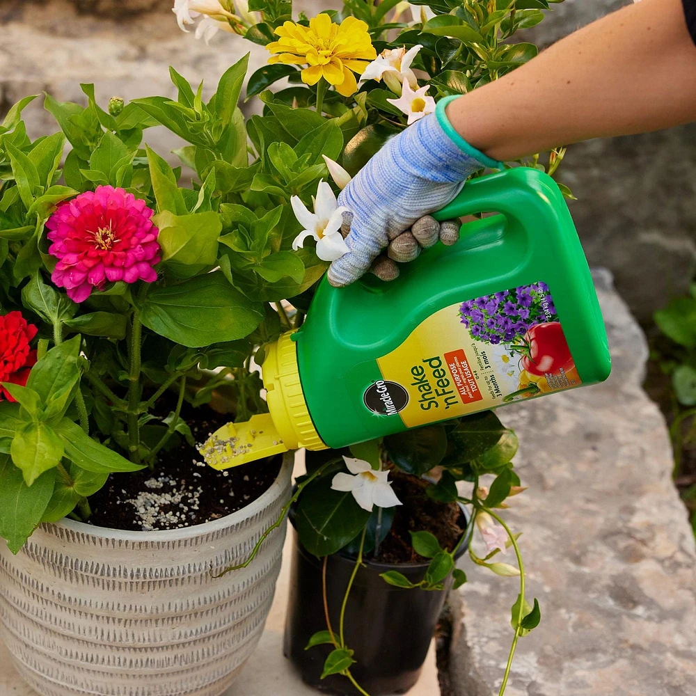 Miracle-Gro Shake N Feed engrais pour plantes tout usage  12-4-8  2.04 Kg