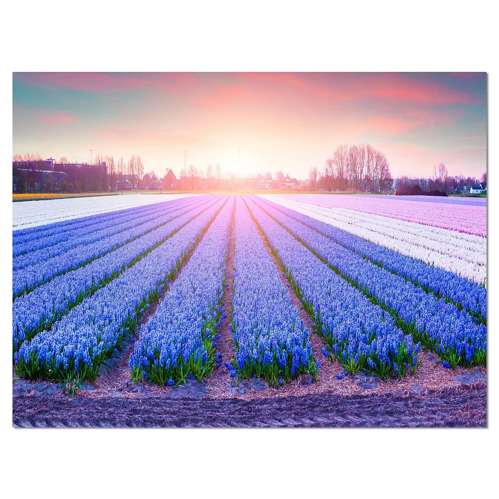 Design Art Champ De Fleurs Floraison Hyacinth Art Sur Toile