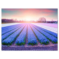 Design Art Champ De Fleurs Floraison Hyacinth Art Sur Toile