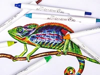Les feutres rétractables Scribble Stuff 24 pièces