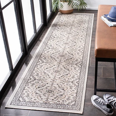 SAFAVIEH Montage Caris Oriental Indoor/Outdoor Area Rug
