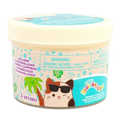 Original Squishmallows™ Cam le Petit Chat Substance Gluante Nuage De Qualité Supérieure, Parfumée à La Noix de Coco