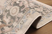 ECARPET Myra 8'0" x 10'0" Traditional Area Rug for Living Room, Bedroom, Dining Room, Entrance, Hallway and More.
