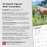 BrownTrout Quarter Horses 2024 12x24 Inch Square Wall Calendar, 9781975464738