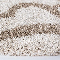 Safavieh Florida Deangelo Damask Plush Shag Area Rug