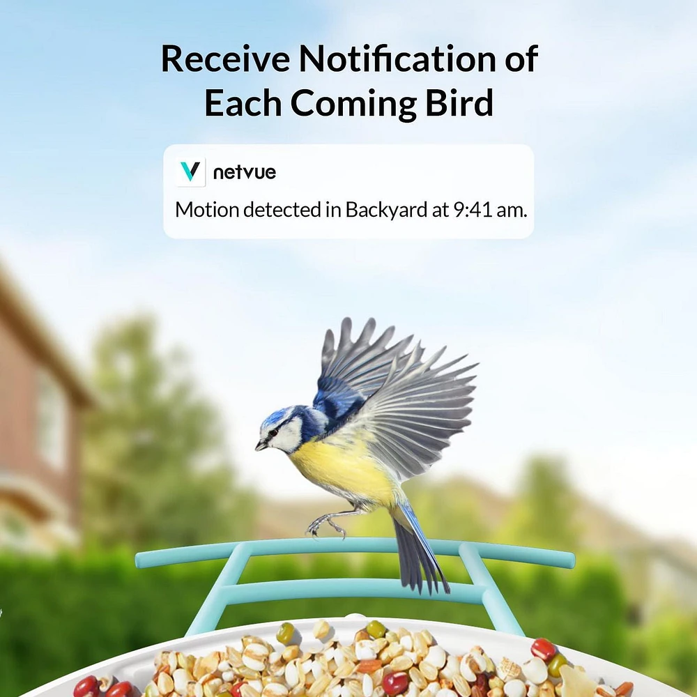 Bird Feeder with Camera, Netvue Birdfy Smart Bird Feeder with Free AI Identify for Bird Watching, Blue (Birdfy+Solar)