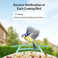 Bird Feeder with Camera, Netvue Birdfy Smart Bird Feeder with Free AI Identify for Bird Watching, Blue (Birdfy+Solar)