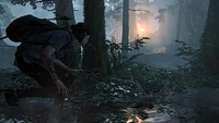The Last of Us Part II (PS4), PlayStation 4