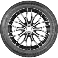 Evergreen ES880 225/55R18XL 102V tire
