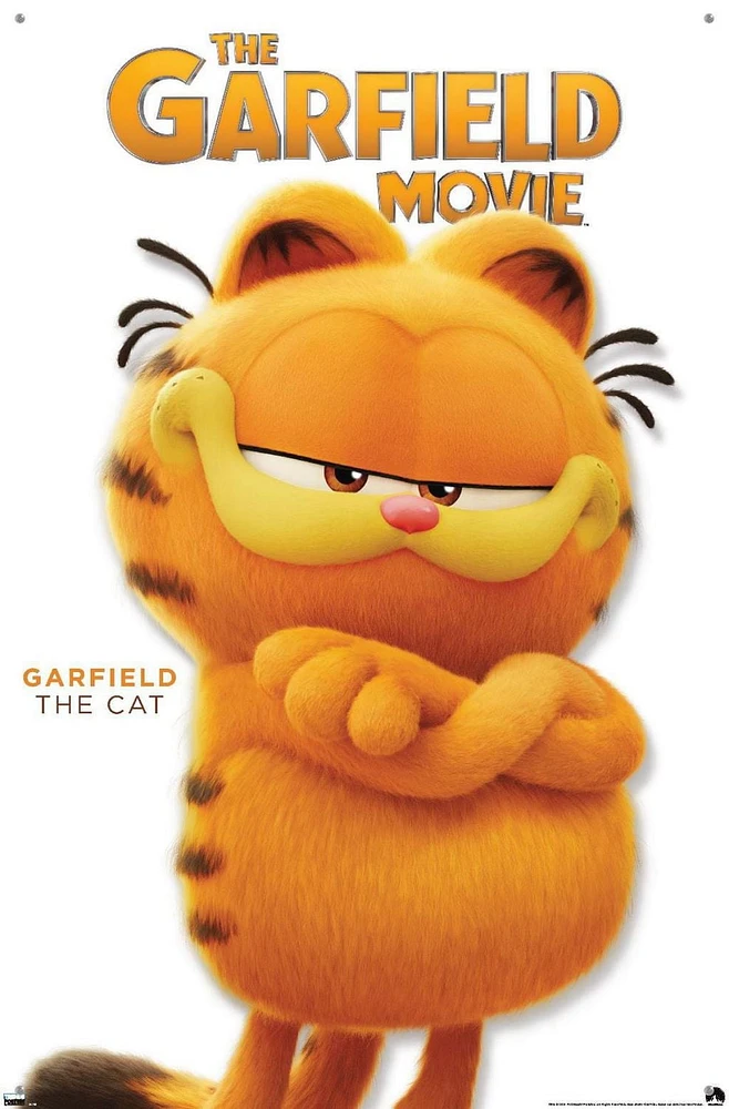 The Garfield Movie - Garfield Feature Series 24 Wall Poster with Magnetic Frame, 22.375" x 34"
