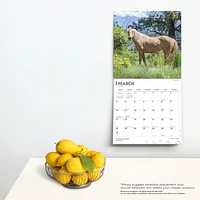 BrownTrout Quarter Horses 2024 12x24 Inch Square Wall Calendar, 9781975464738