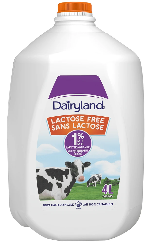 Dairyland Lait sans lactose partiellement écrémé 1 % 4L