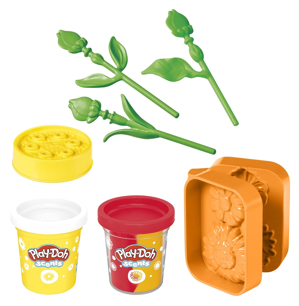 Play-Doh Sunflowers & Daisies Arts & Crafts Kit