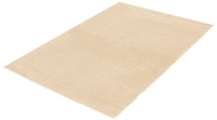 Tapis ECARPET Moderne pour Salle à Manger, Salon
