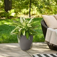 24" Madison Jardinière, Anthracite 14" Round Ronde, 25.6L
