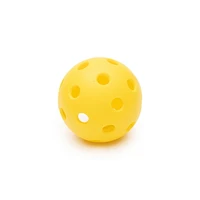 Pickleballs d'intérieur Black Knight