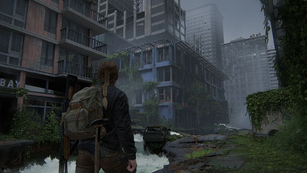 Jeu vidéo The Last of Us Part II Remastered, PlayStation 5 PlayStation 5