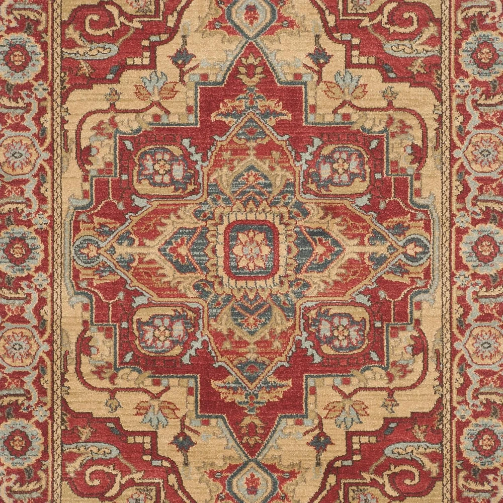 Safavieh Mahal Oswin Floral Bordered Area Rug