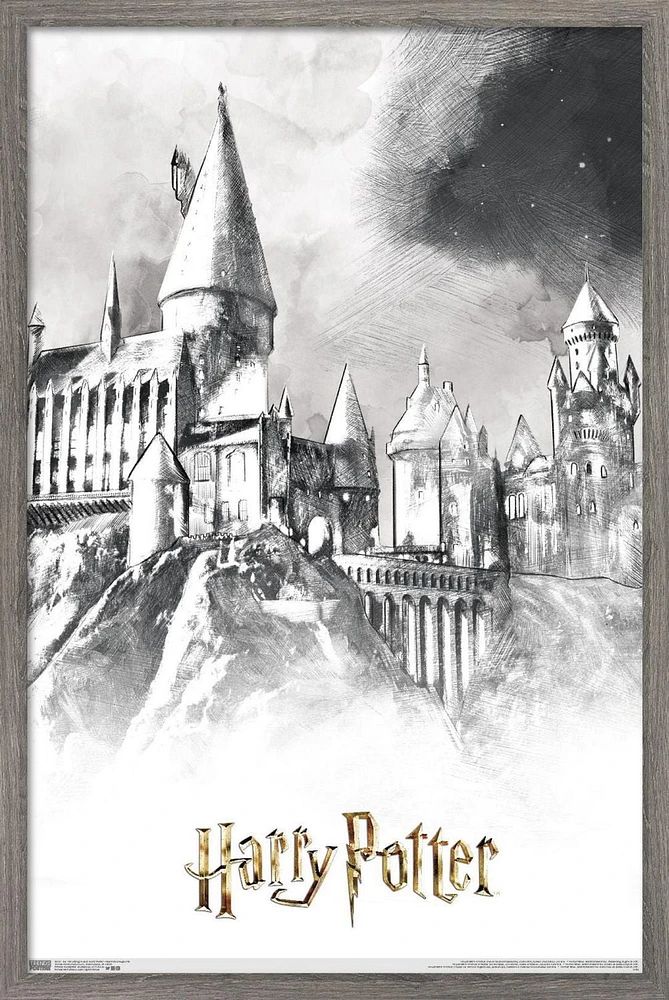 Le monde des sorciers : Harry Potter - Poudlard illustré