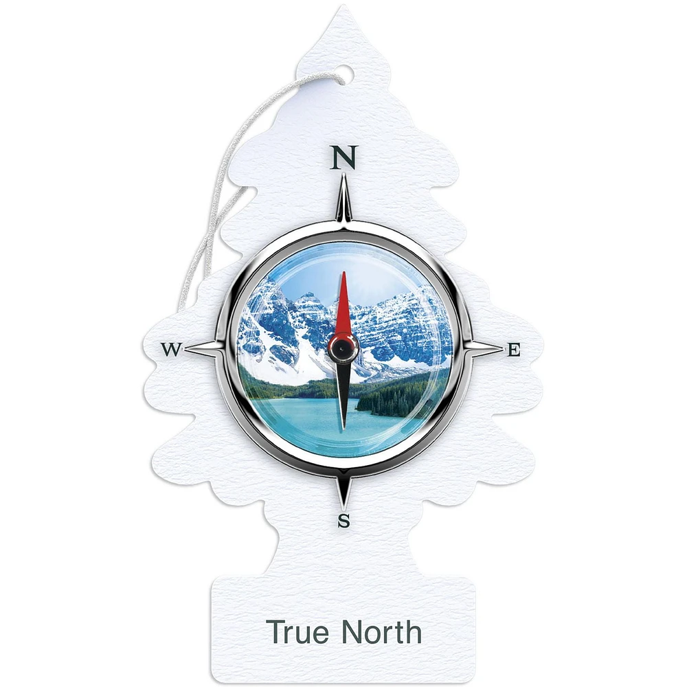 Assainisseur d'air LITTLE TREES True North 3-Pack LT True North, paquet de 3
