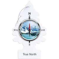 Assainisseur d'air LITTLE TREES True North 3-Pack LT True North, paquet de 3