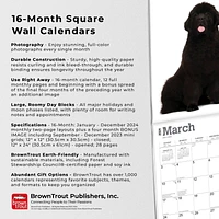 BrownTrout Newfoundlands 2024 12x24 Inch Square Wall Calendar, 9781975464295
