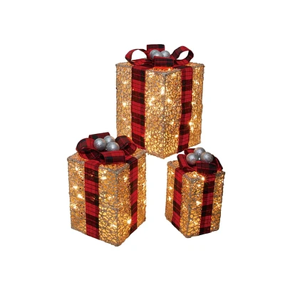 Ensemble-cadeau de Noël éclairé Holiday Time 3 pièces, avec 70 lumières à DEL