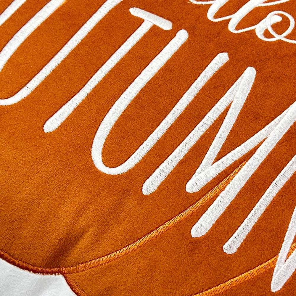 Way to Celebrate! Hello Autumn Pumpkin Decorative Pillow