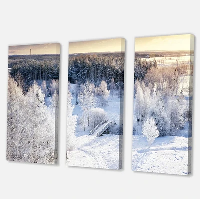Designart Beautiful Winter Panorama Canvas Wall Art