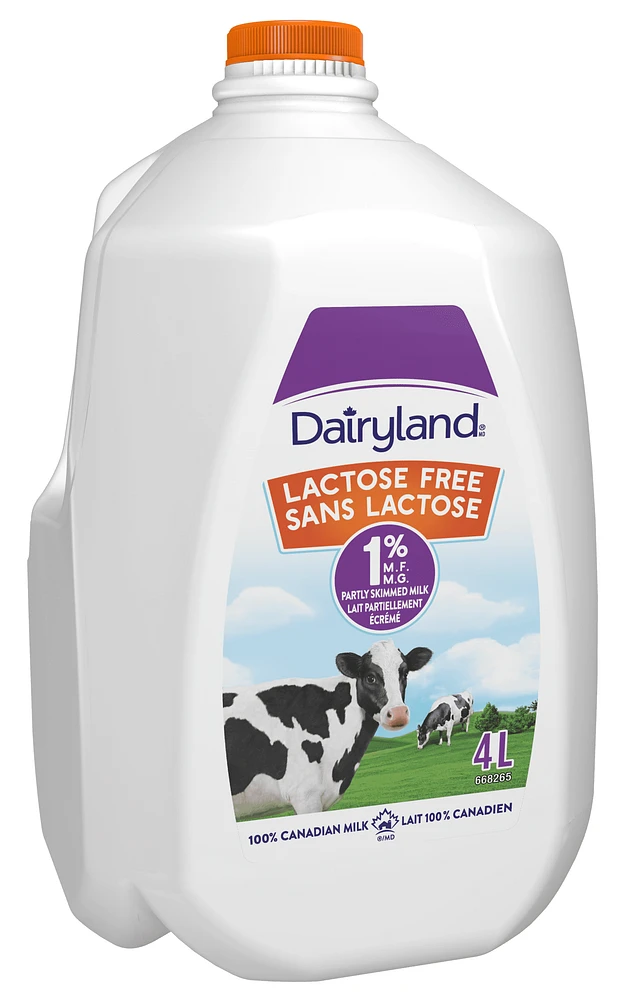 Dairyland Lait sans lactose partiellement écrémé 1 % 4L